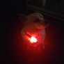 Pet Safety Pendant Image 8