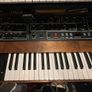Sequential Prophet-5 (Rev 4) - Immaculate Updated Image 2