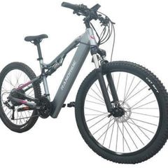 Randride Yg90a Electric Bike