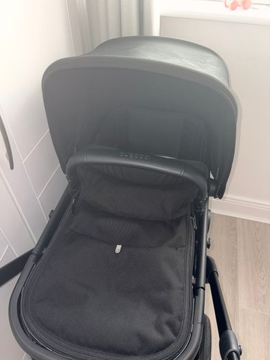 Black bugaboo renew