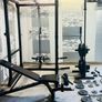 Top Olympic Weightlifting Home Gym Image 7