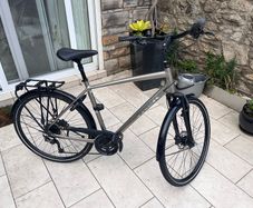 mens bike trek large frame