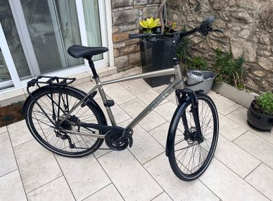 mens bike trek large frame