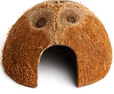 Coconut Half Terrario CocoCave