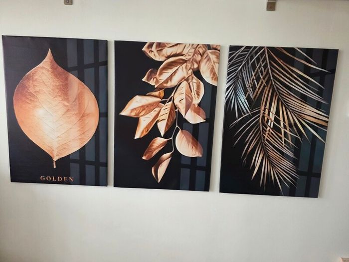 3 canvas framed 46x66cm each size