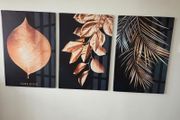 3 canvas framed 46x66cm each size