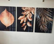 3 canvas framed 46x66cm each size