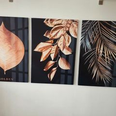 3 canvas framed 46x66cm each size