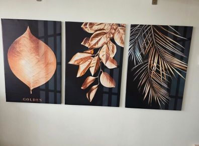 3 canvas framed 46x66cm each size