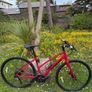 Trek FX 3 Ladies Hybrid Bike Immaculate Condition Size M Image 4