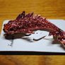 Enamel Brooch. Red Carp Image 3
