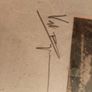 w b yeats Image 3