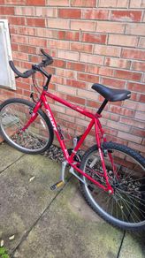 giant mtb mountain bike