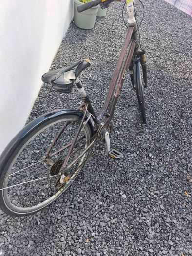 Giant LIV ladies bike
