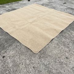 Large Rug