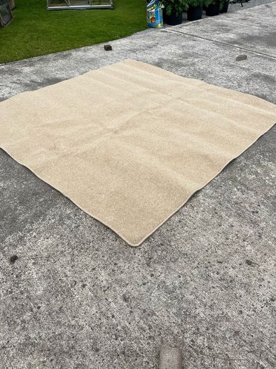 Large Rug