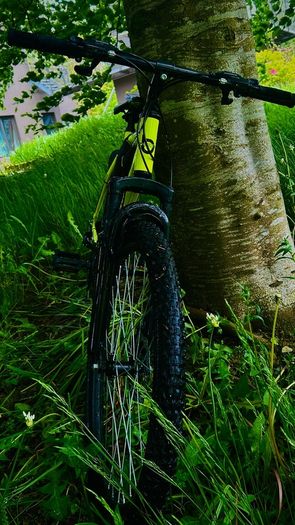 Bentini 26" Mountain Bike