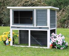 rabbit cage