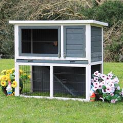 rabbit cage