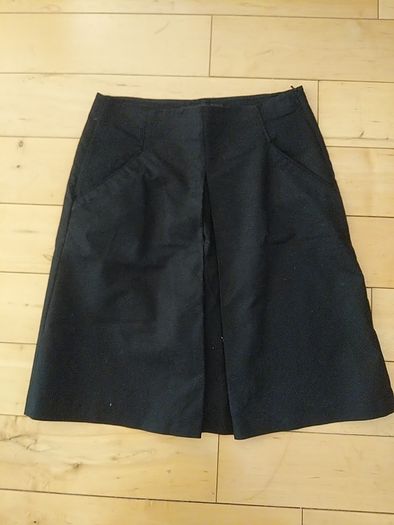 Skirt (Zara)