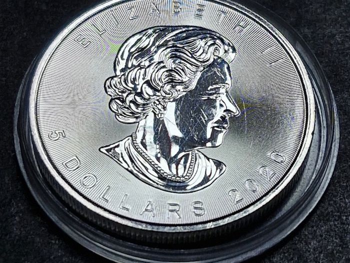 Canada 1 oz  Maple Leaf Silver 2020 Coin