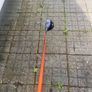 Golf Clubs (Driver, Wedge, Wood) Image 6