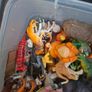 Bulk of animals Image 4
