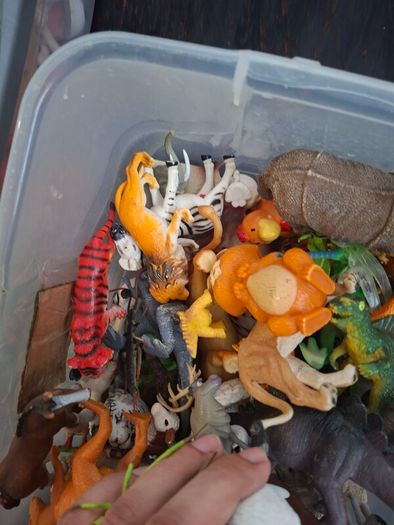 Bulk of animals