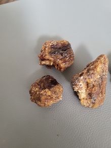 Baltic amber specimens