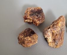 Baltic amber specimens