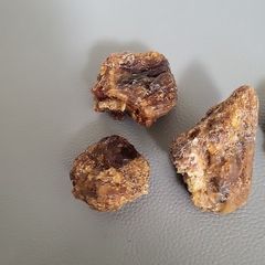Baltic amber specimens