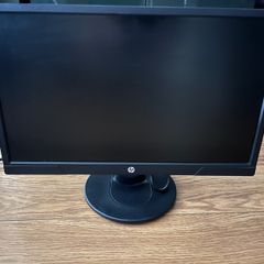 21 inch monitor HP V214a