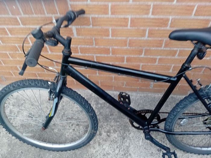 adults bike