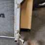 R50 Mini radiator full aluminium  suit 01 to 06 Image 2