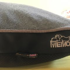 for dogs