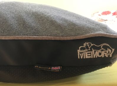 for dogs
