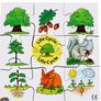 4 New Thick Hand Cut Wooden Jigsaws Life Cycle Image 3