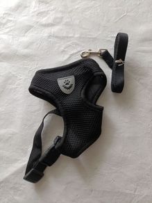 Dog leash