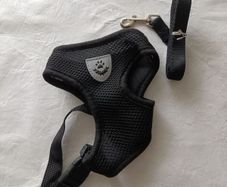 Dog leash