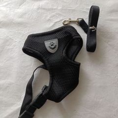 Dog leash