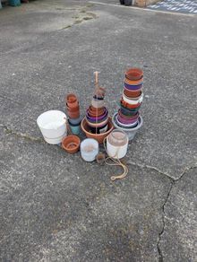 Plant Pots