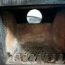 solid fuel stove Image 4