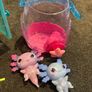 Mama surprise Guinea Pig and Animagic Let's Glo Axolotl bubble reef set Image 2