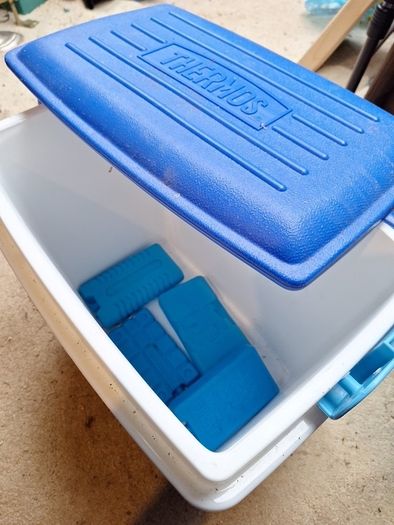 cool box