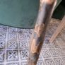 Walking Stick Image 3