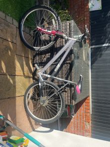 ladies bike