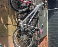 ladies bike