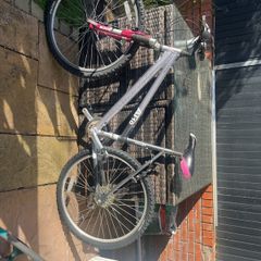 ladies bike