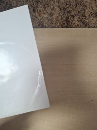 PS2 PlayStation 2 Haunting ground No Manual Pal English