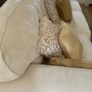 9 foot cream velvet sofa Image 2